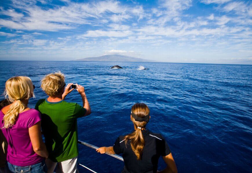 Whale watching Kauai Ali'i Kai Resort