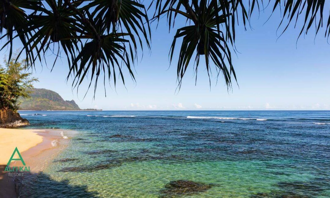 Why choose Kauai for your Hawaiian vacation