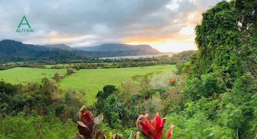 Rains in Kauai Hanalei Bay 