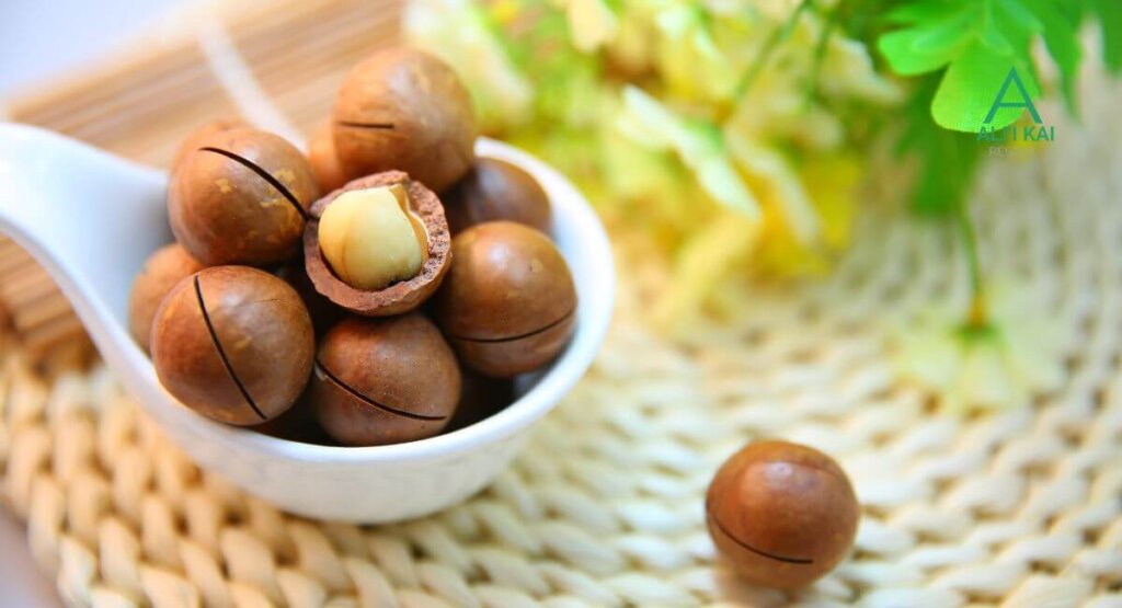 Kauai Souvenirs - Macadamia Nuts