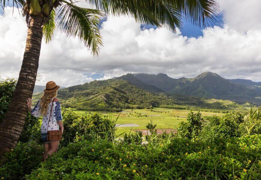 Hanalei viewpoint