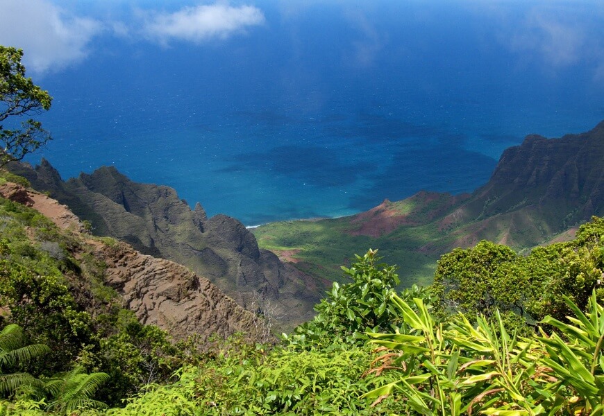 Kauai vegetation
