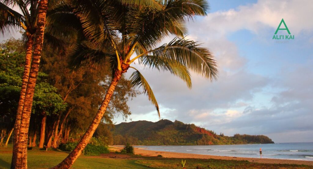 Sunset Hanalei Bay