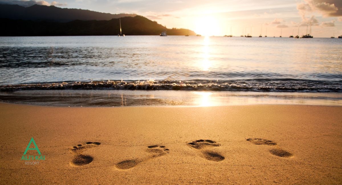 Princeville Beaches