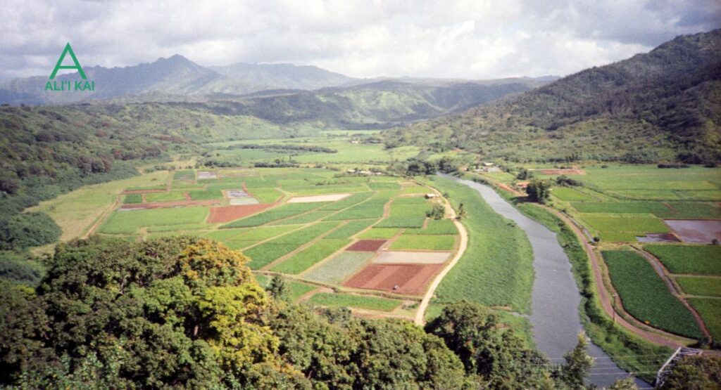 Princeville Hanalei Valley