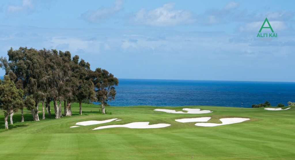 Golf at Princeville on Kauai