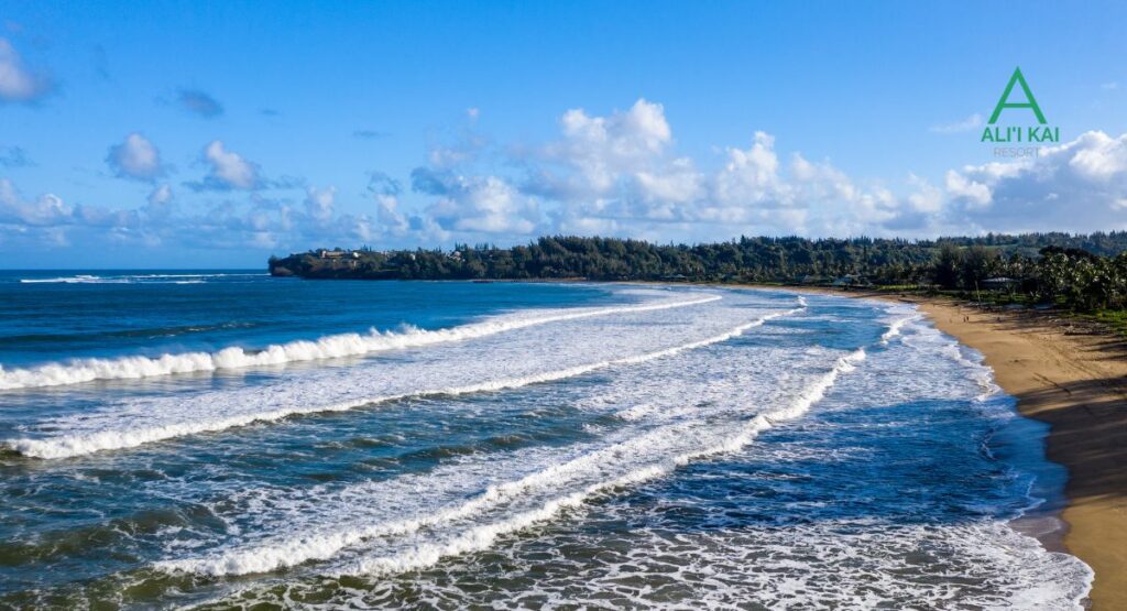 View of Hanalei Bay and Princeville