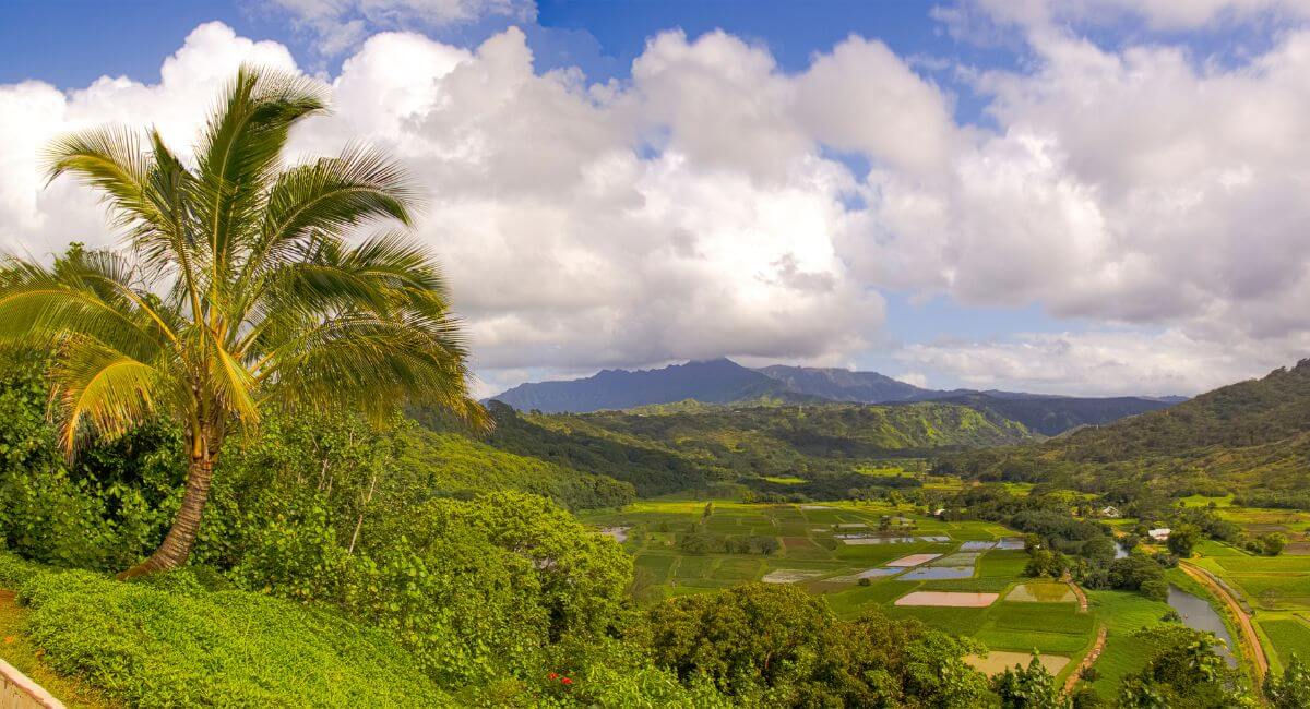 Hanalei National Wildlife Refuge Viewpoint