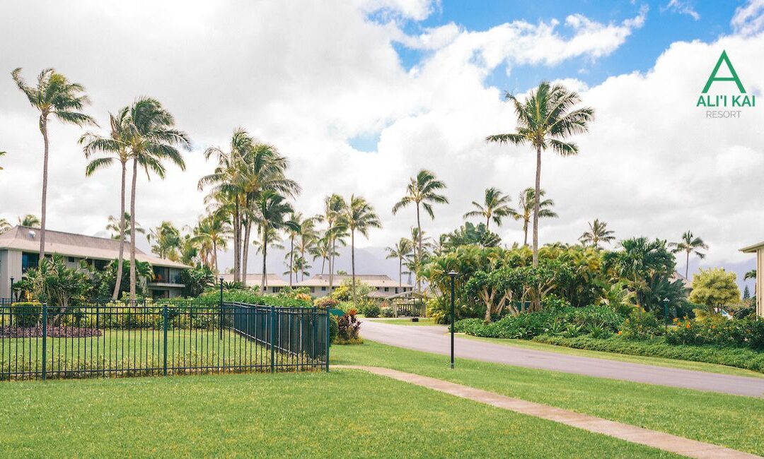 Your Kauai Adventure Awaits: Finding Your Perfect Accommodation