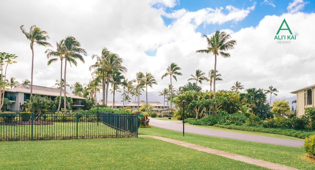 Choosing accommodation in Kauai