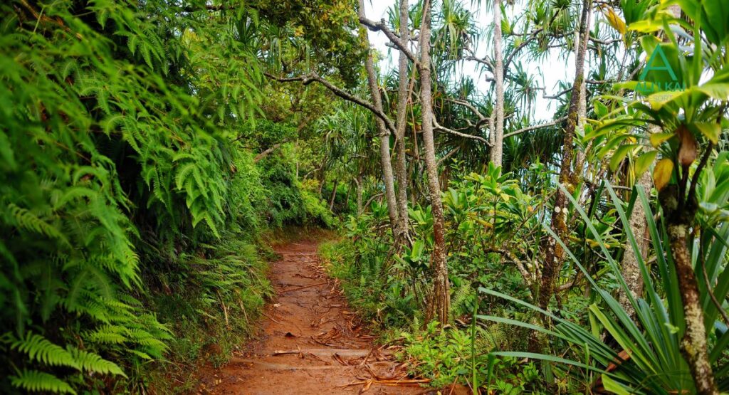 Kalalau trail