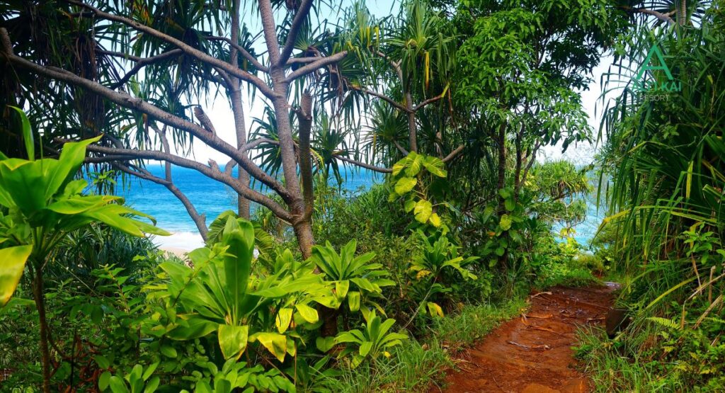 Kalalau trail
