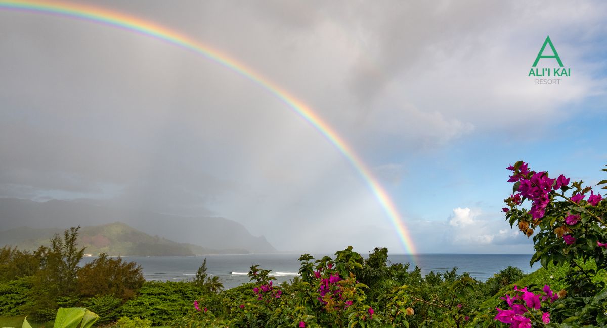 The Ultimate Kauai North Shore Rainy Day Itinerary