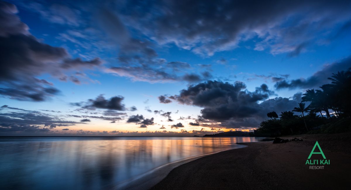 March on the Garden Isle: Your North Shore Event Guide