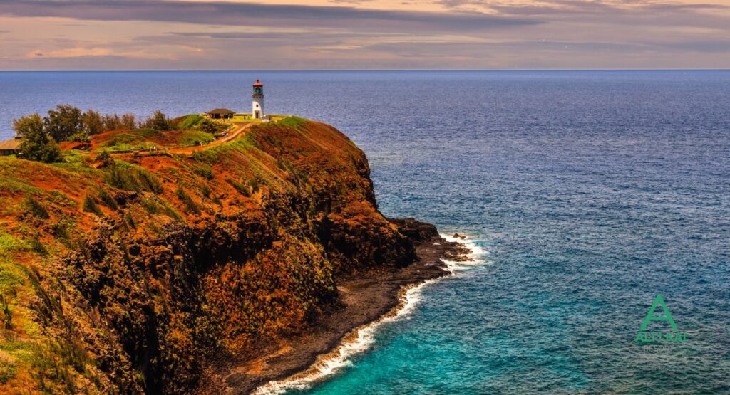 Kilauea Point