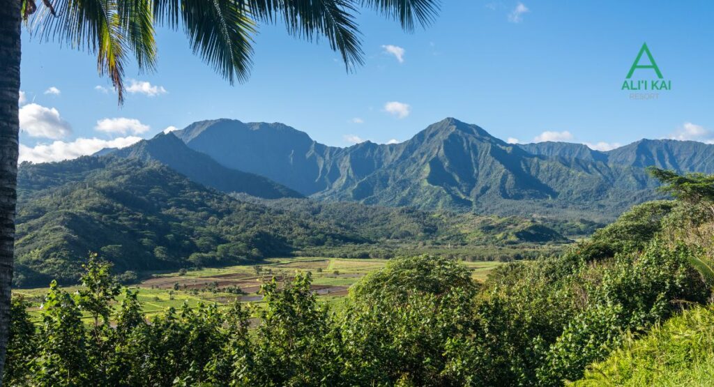 Hanalei Valley Overlook