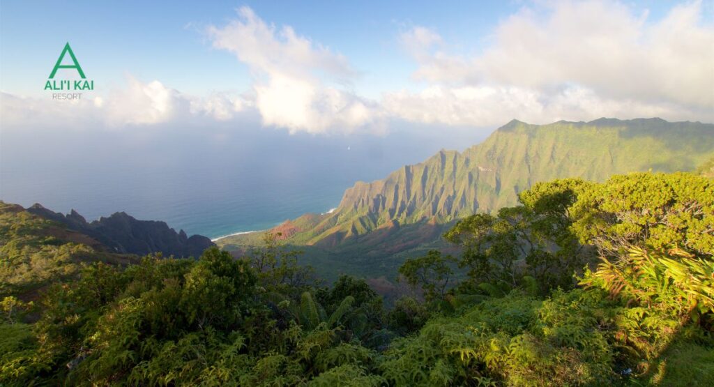 Kalalau lookout