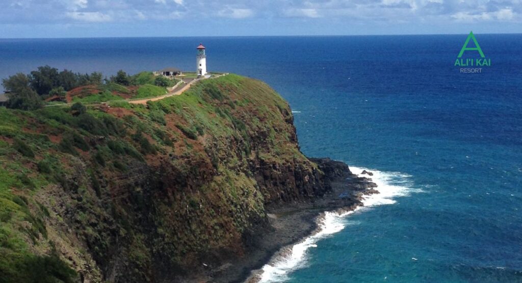 Kilauea Point