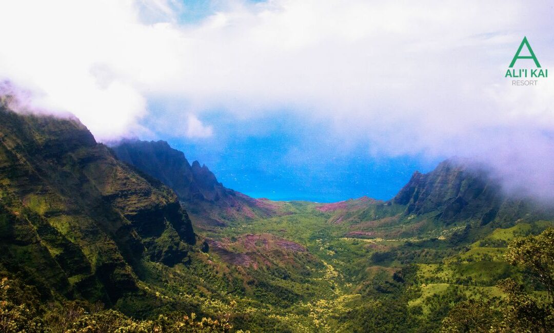 The Ultimate North & East Shore Kauai Road Trip Itinerary