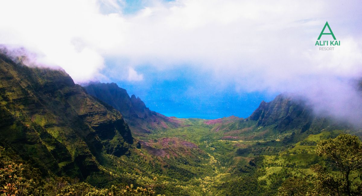The Ultimate North & East Shore Kauai Road Trip Itinerary