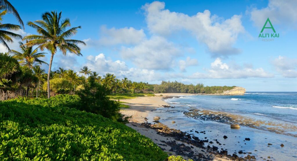 Shipwreck Beach