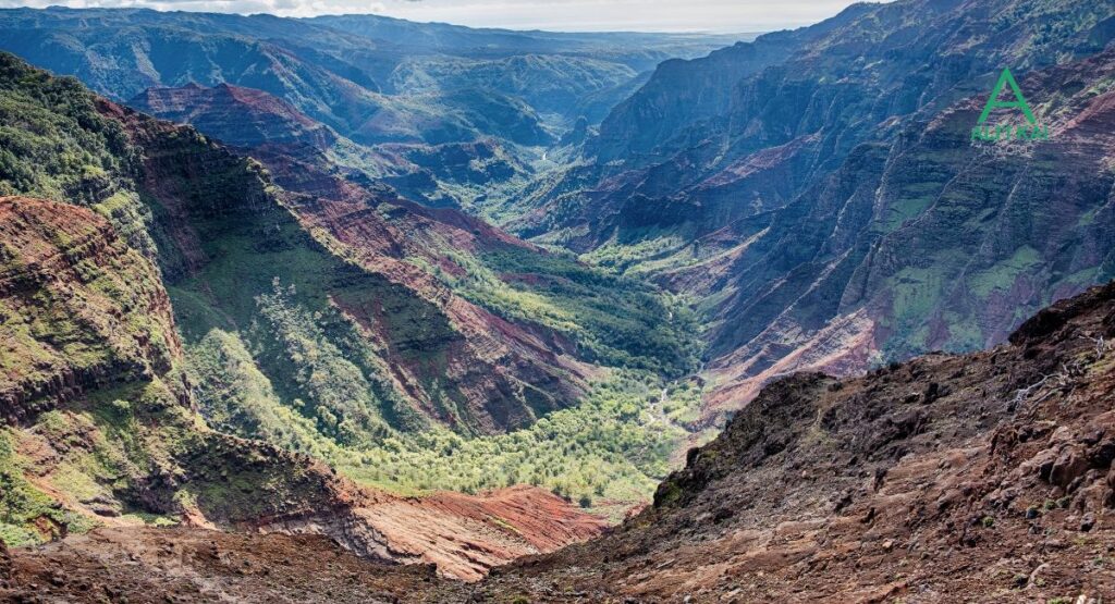 Waimea Canyon overlook