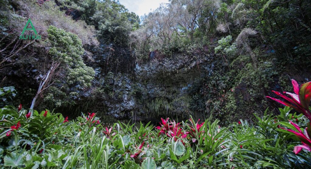 Fern Grotto