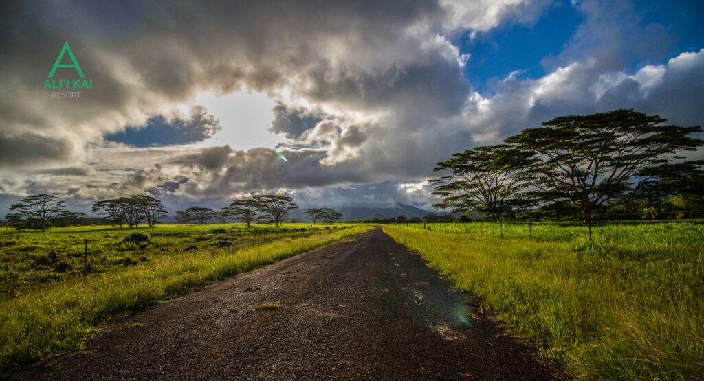 Renting a car in Kauai