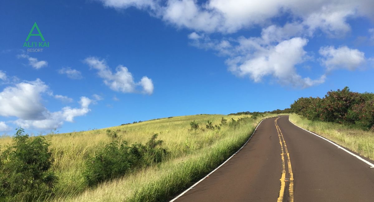 Do You Really Need a Rental Car on Kauaʻi?