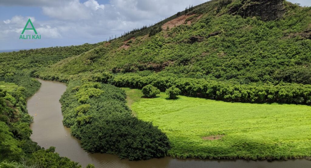Wailua River