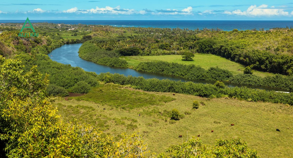 The Ultimate 3-Day Wailua River Itinerary
