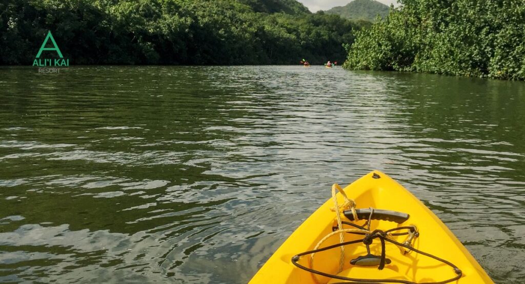 Wailua river