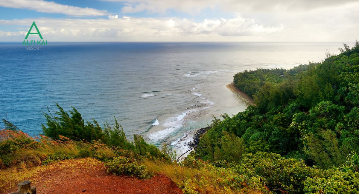 The Ultimate North Shore Guide: